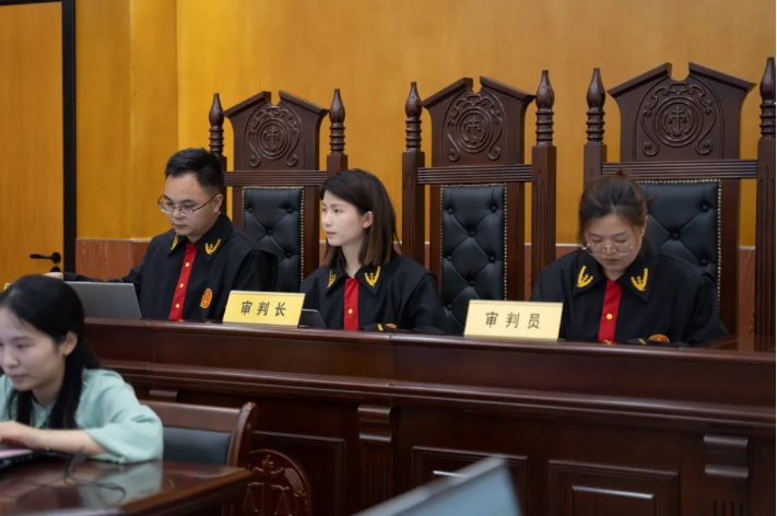 执行担保合规审查的“程序正义”