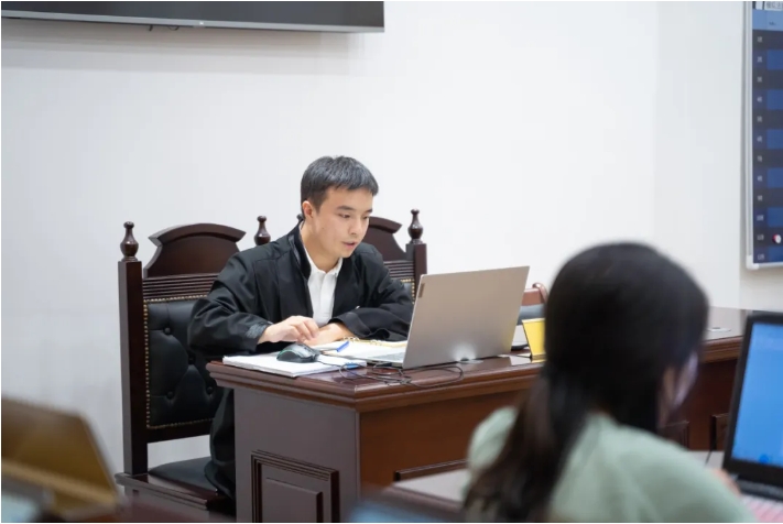 一人有限责任公司股东如何证明财产独立？